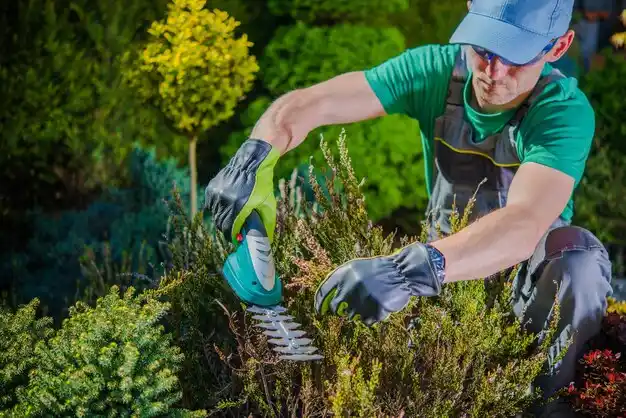 landscaping services Shaker Heights